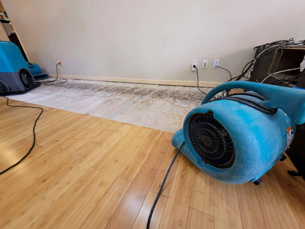 Professional Ceiling Water Damage Repair technician working in Tiverton, RI